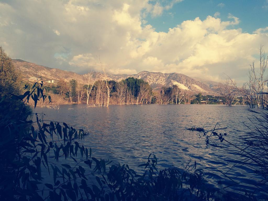 Al Agia - Los Molinos De Padul エクステリア 写真